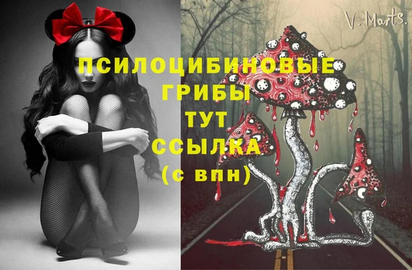 экстази Алзамай
