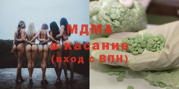 гашик Алексин