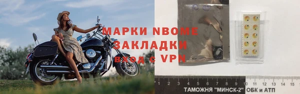 гашик Алексин
