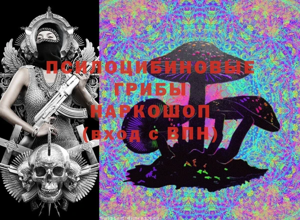 гашик Алексин