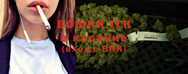 гашик Алексин